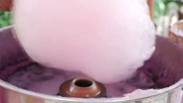 Close-up of fluffy pink cotton candy